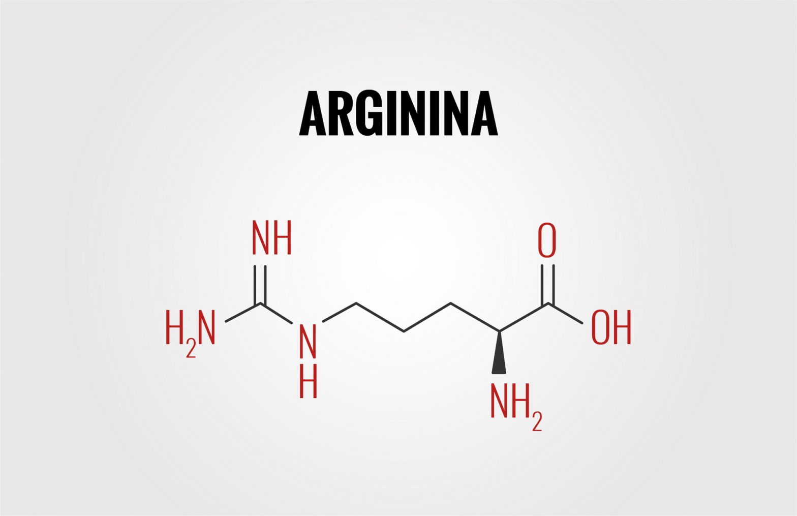 Molecola Arginina